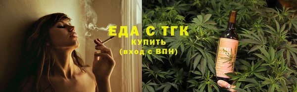 СК Новозыбков