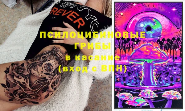 круглые Новодвинск