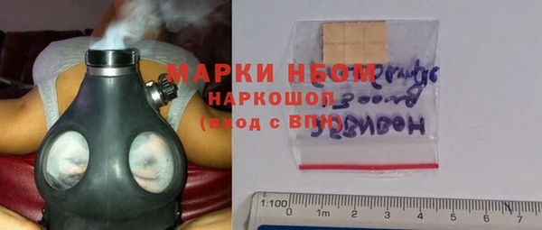 СК Новозыбков