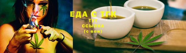 СК Новозыбков