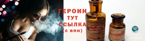 СК Новозыбков