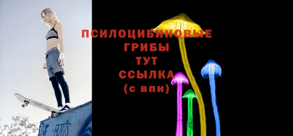СК Новозыбков