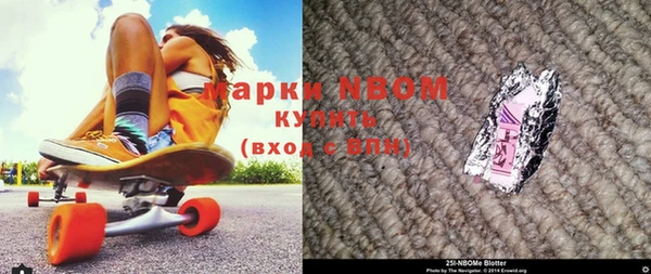 СК Новозыбков