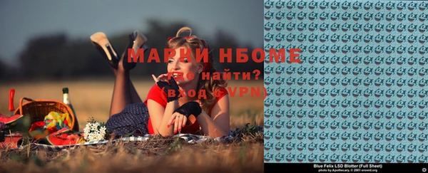 СК Новозыбков