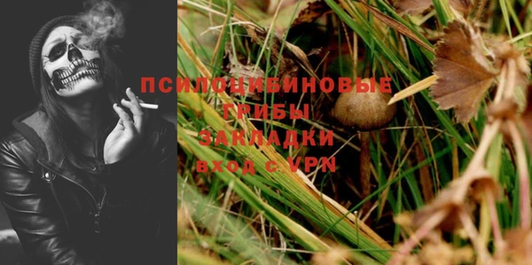 СК Новозыбков