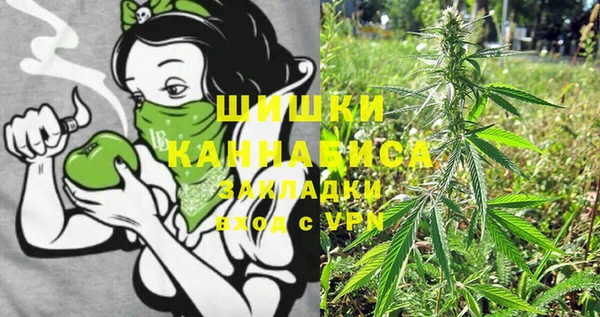 СК Новозыбков