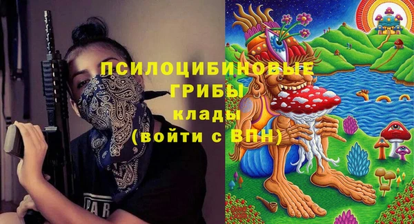 СК Новозыбков