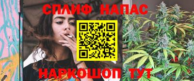 прущие грибы Славгород