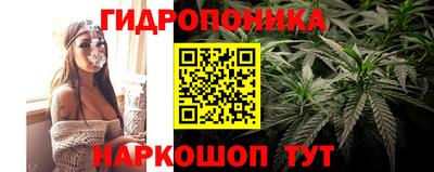 прущие грибы Славгород