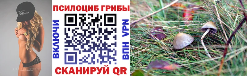 Псилоцибиновые грибы прущие грибы  hydra tor  Приморско-Ахтарск  хочу наркоту 