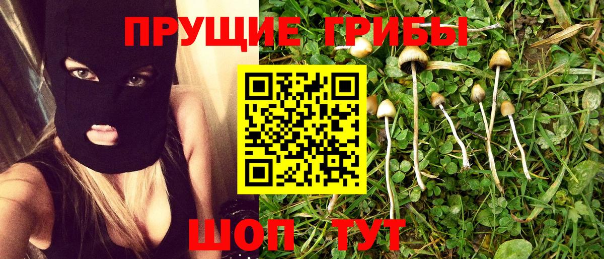 Приморско-Ахтарск  Галлюциногенные грибы ЛСД  Вход с VPN 